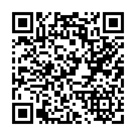 QR code for P20307