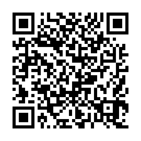 QR code for P20543