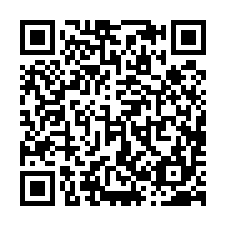 QR code for P20594