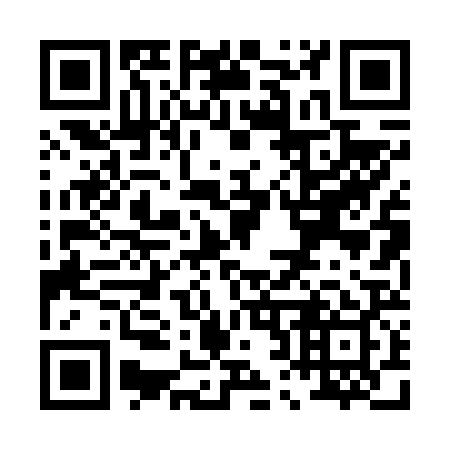 QR code for P20629