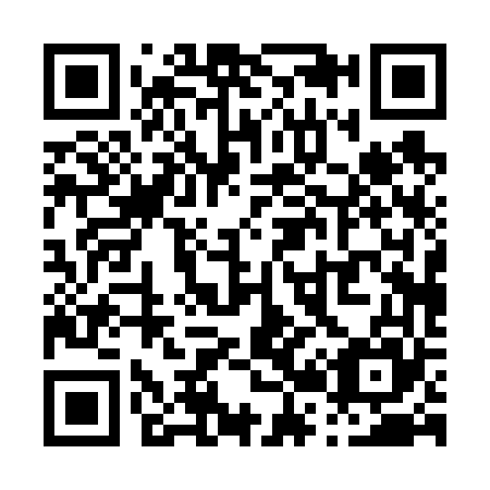 QR code for P20665