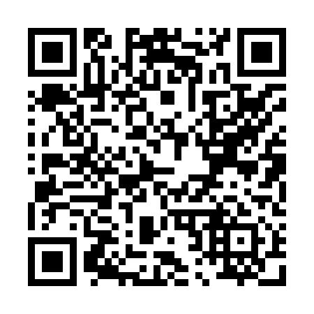 QR code for P20811