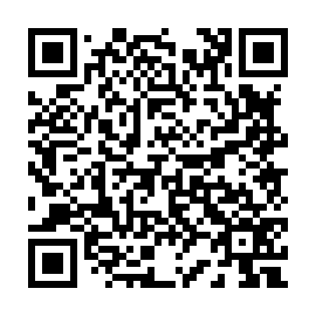 QR code for P20876