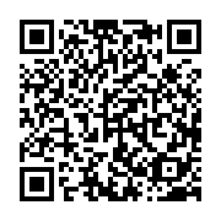 QR code for P20978
