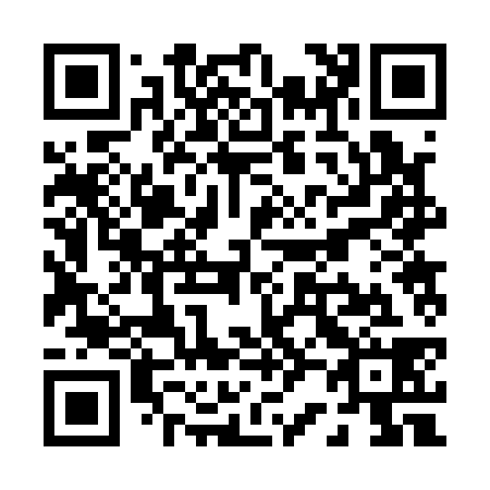 QR code for P22138
