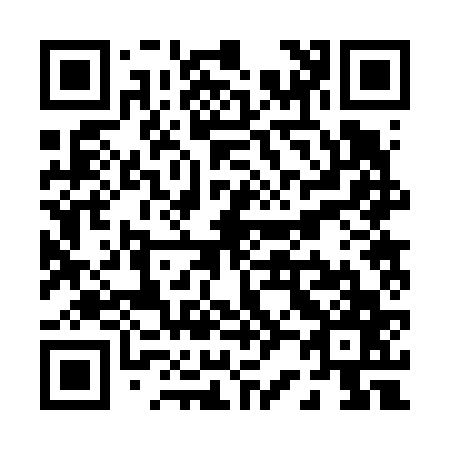 QR code for P22667
