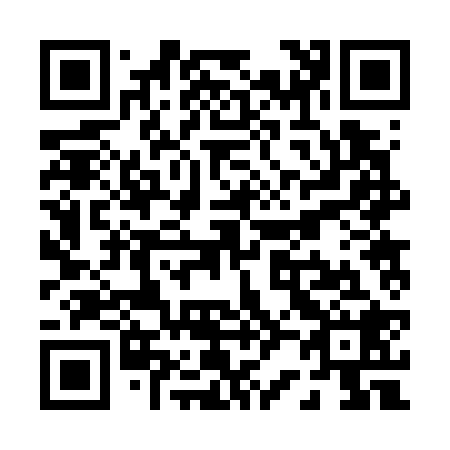 QR code for P22728