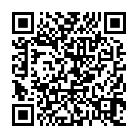 QR code for P22810