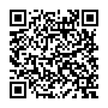 QR code for P22912