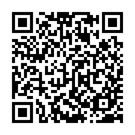 QR code for P23387