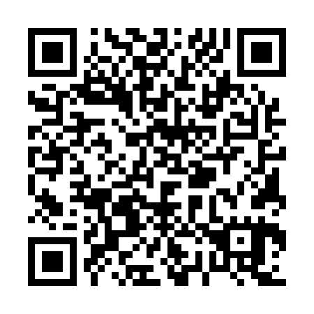 QR code for P25165