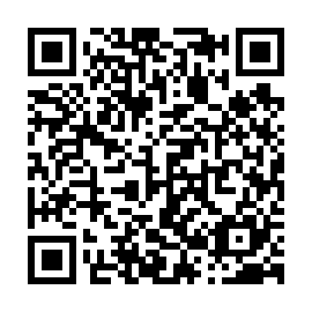 QR code for P25625