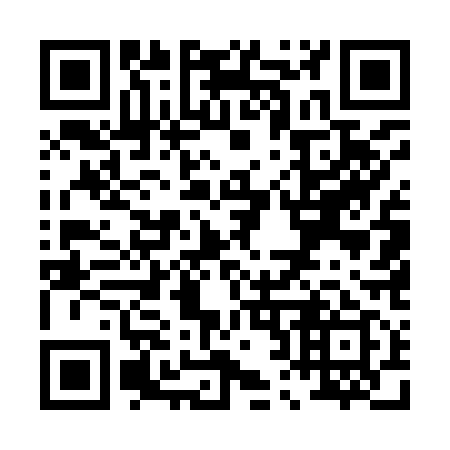QR code for P25919