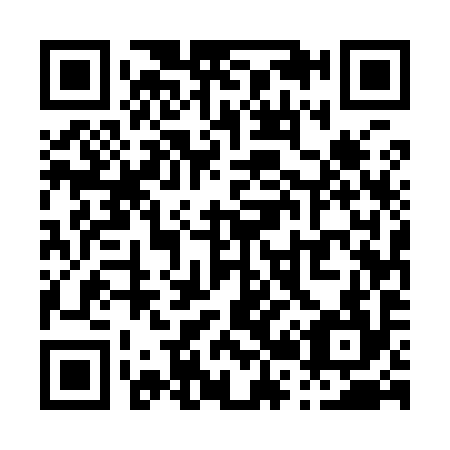 QR code for P25994