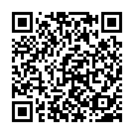 QR code for P27338