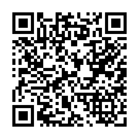 QR code for P27387