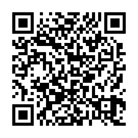 QR code for P28229