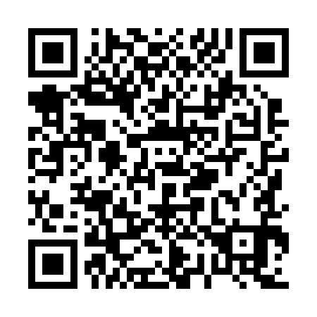 QR code for P28291