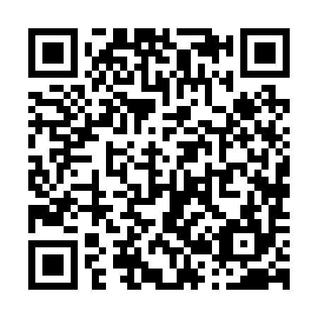 QR code for P28294