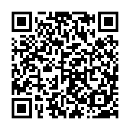 QR code for P28295