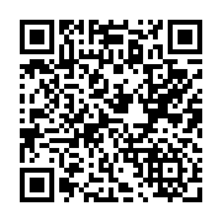 QR code for P28417