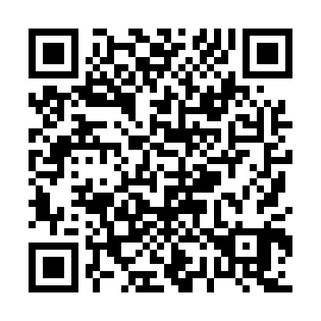 QR code for P28501