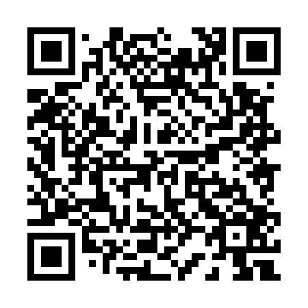 QR code for P28506