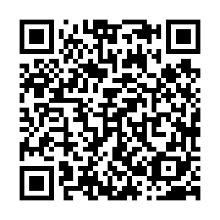QR code for P28668