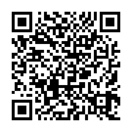 QR code for P29009