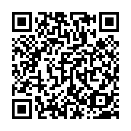 QR code for P29038