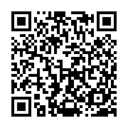 QR code for P29065