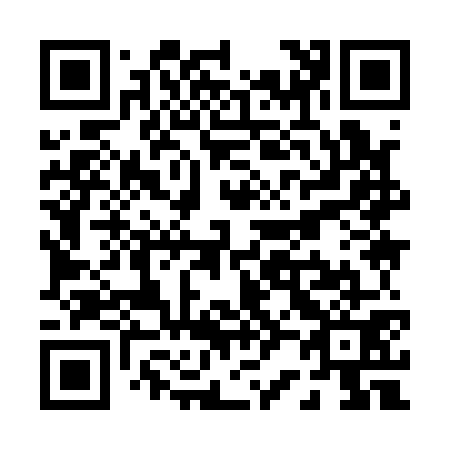 QR code for P29171