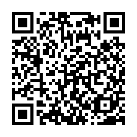 QR code for P29201