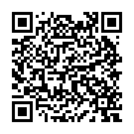QR code for P29257