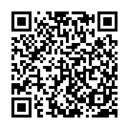 QR code for P29303