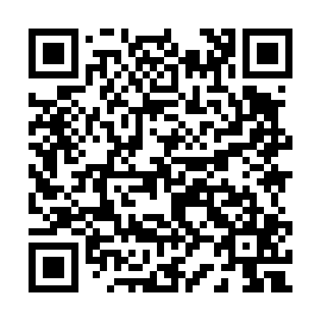 QR code for P29405