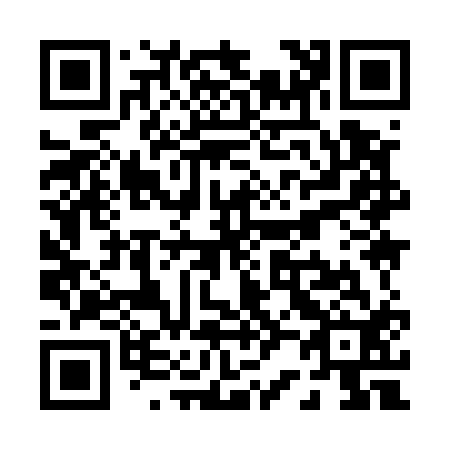 QR code for P29512