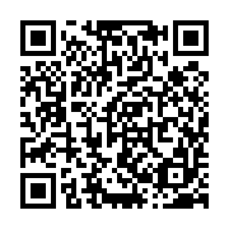 QR code for P29592