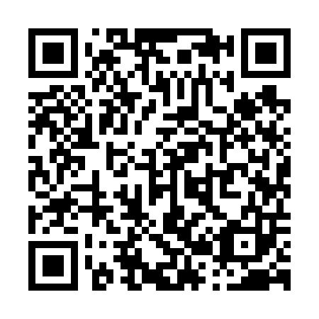 QR code for P29603