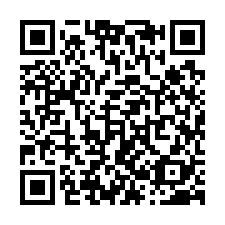 QR code for P29728