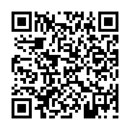 QR code for P29745