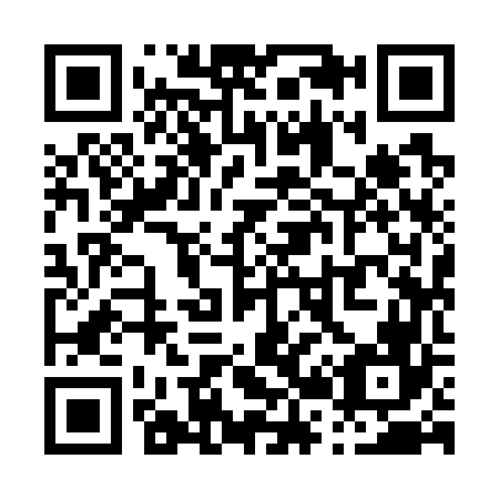 QR code for P29766