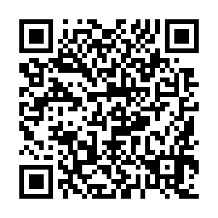 QR code for P29794
