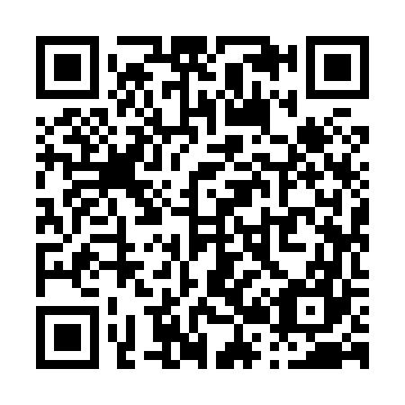 QR code for P29867