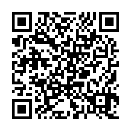 QR code for P29934