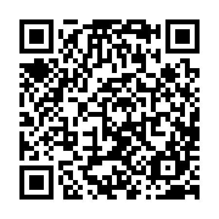 QR code for P30384