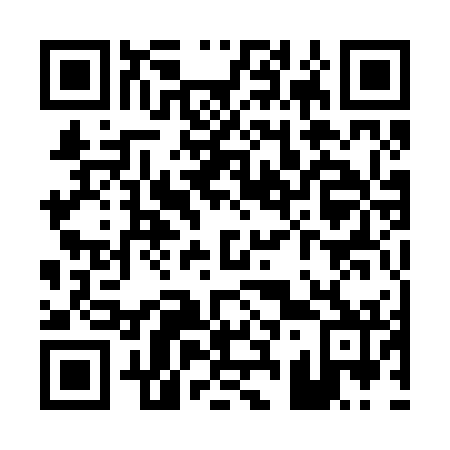 QR code for P31272