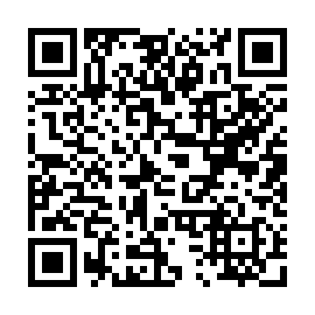QR code for P31318