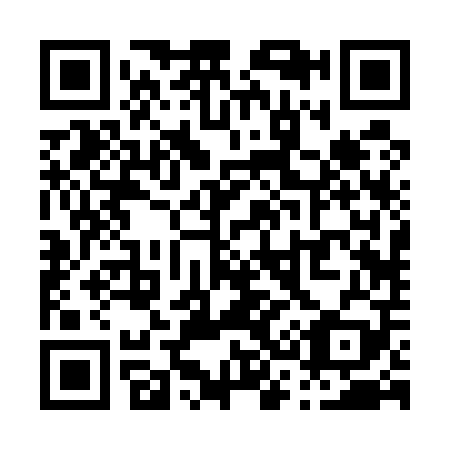 QR code for P32509