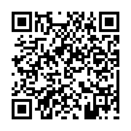 QR code for P32733